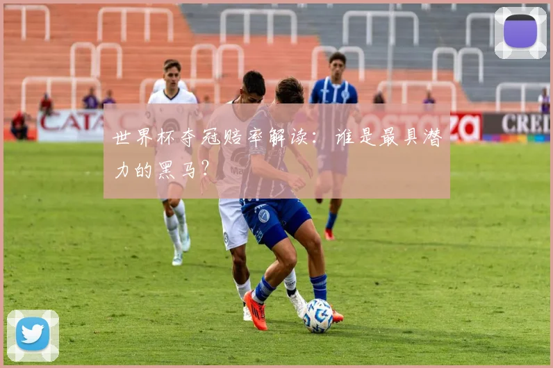世界杯夺冠赔率解读:谁是最具潜力的黑马?