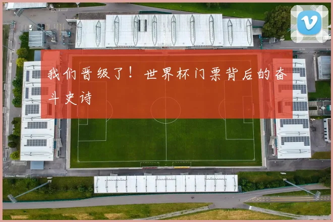 我们晋级了!世界杯门票背后的奋斗史诗