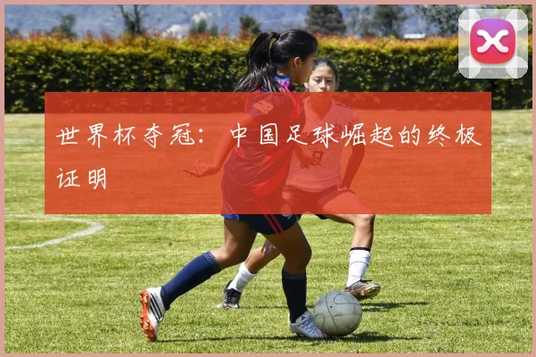 世界杯夺冠:中国足球崛起的终极证明
